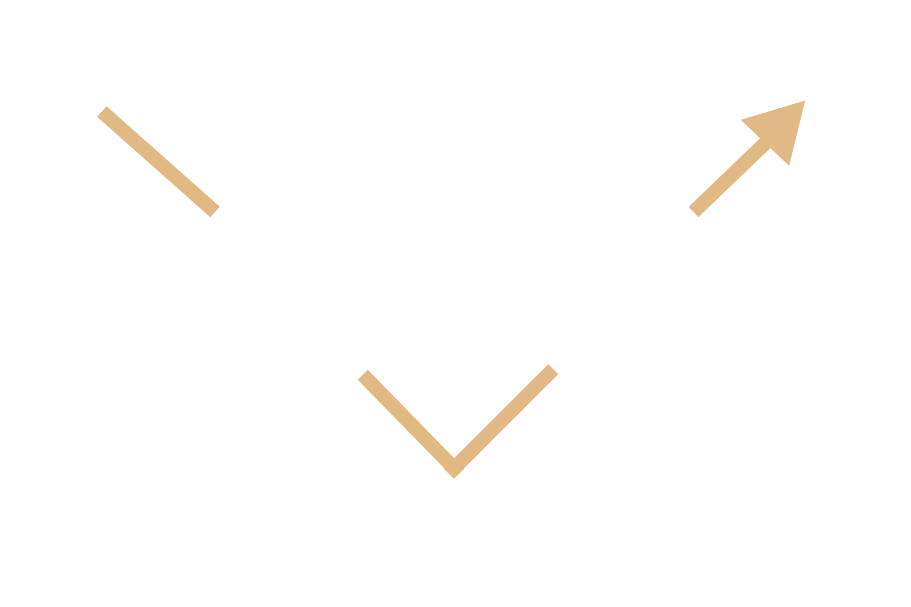ThroughLine